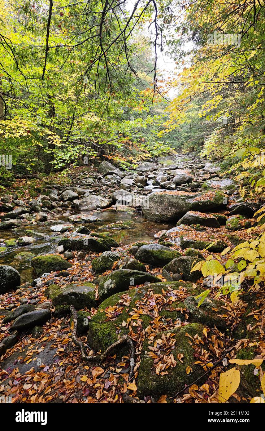 A rocky river at the base of Cardigan Mountain in New Hampshire, USA, in the fall, with orange leaves fallen all around. - Smartphone Captured Stock Image