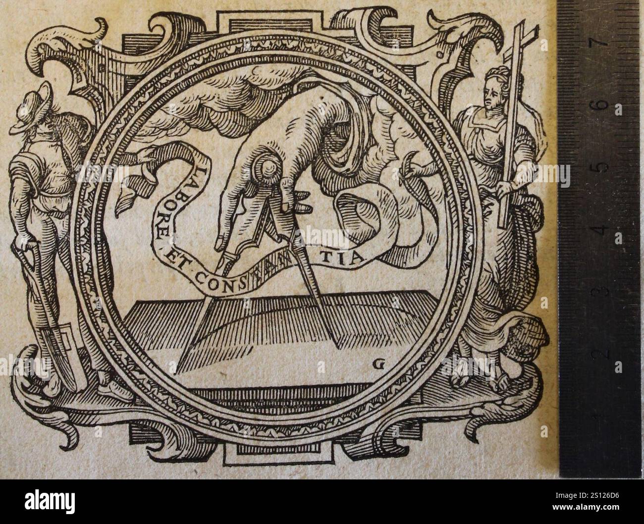 Plantini hi-res stock photography and images - Alamy