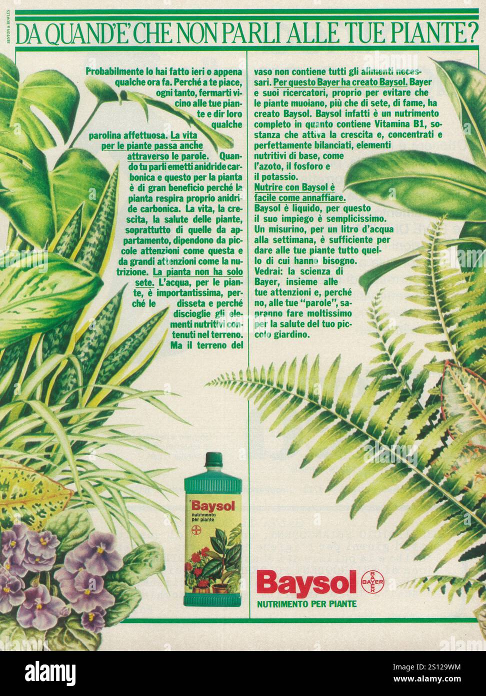 1981 Italian Bayer Baysol Fertilizer for plants ad Stock Photo