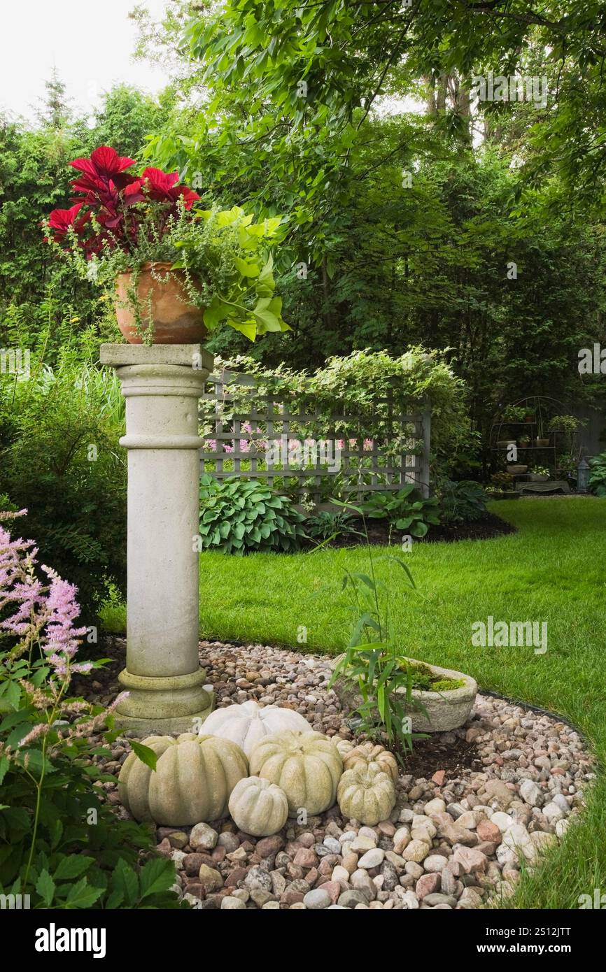Red Solenostemon - Coleus in container on top of concrete column in ...