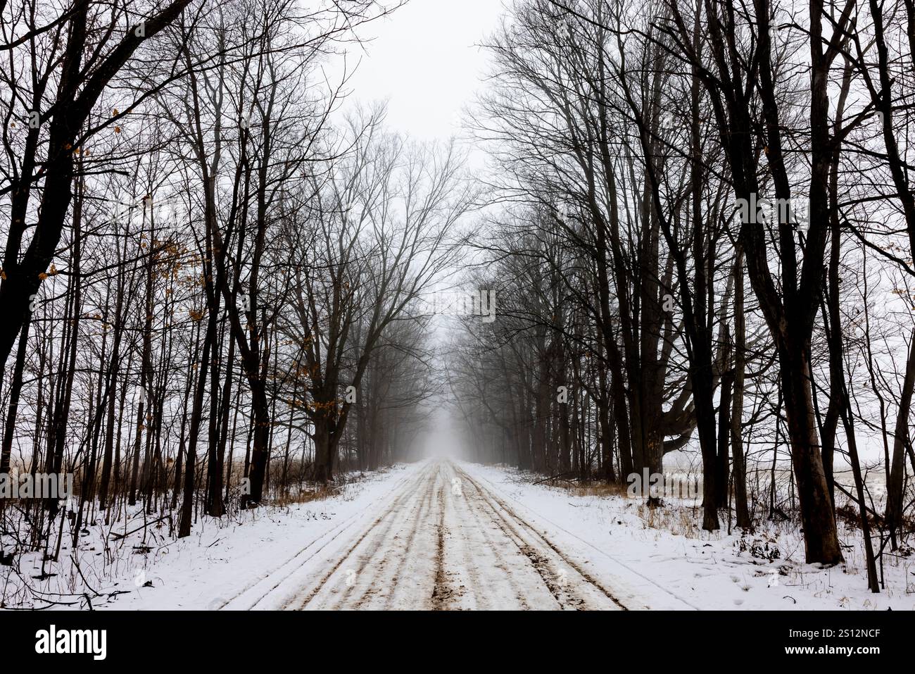 Fog and snow on a back road in  Mecosta County, Michigan, USA Stock Photo
