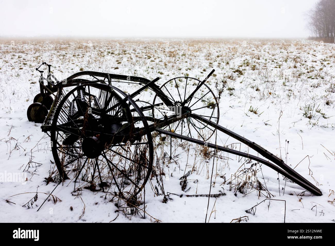 Horse-drawn hay rake in fog and snow in Mecosta County, Michigan, USA ...