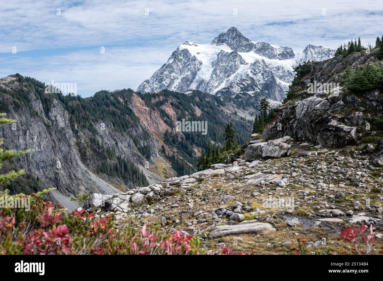 Autumn view from Artist's Ridge near Mount Baker, across forested ridge ...