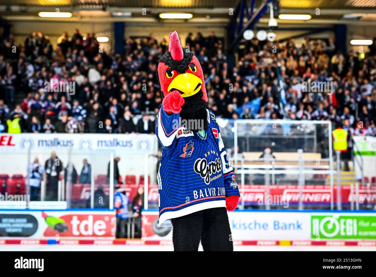 Jubel, Freude bei Icey (Maskottchen, Iserlohn Roosters, #94),  GER, Iserlohn Roosters vs. Duesseldorfer EG, Eishockey, Penny-DEL, 32. Spieltag, Spielzeit 2024/2025, 30.12.2024,  Foto: Jonas Brockmann/Eibner-Pressefoto Stock Photo