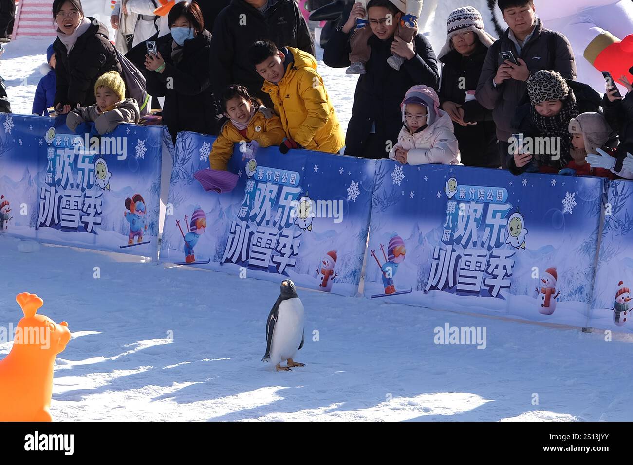 Tourists experience ice and snow sports at a park in Beijing, China, 27 ...