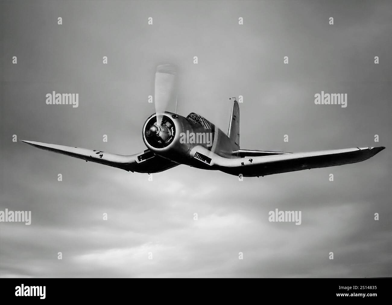 A Vought F4U Corsair in flight. An American fighter aircraft primarily of World War II and the Korean War, it was designed and principally operated as a carrier-based aircraft with the U.S. Navy and Marines. One of the most capable carrier-based fighter-bombers of the war, some Japanese pilots regarded it as the most formidable American fighter. The Corsair served almost exclusively as a fighter-bomber throughout the Korean War and during the French colonial wars in Indochina and Algeria. Stock Photo
