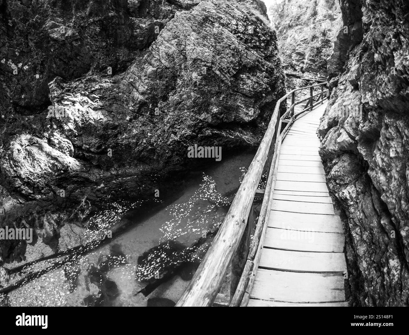 Lake bled slovenia path Black and White Stock Photos & Images - Alamy
