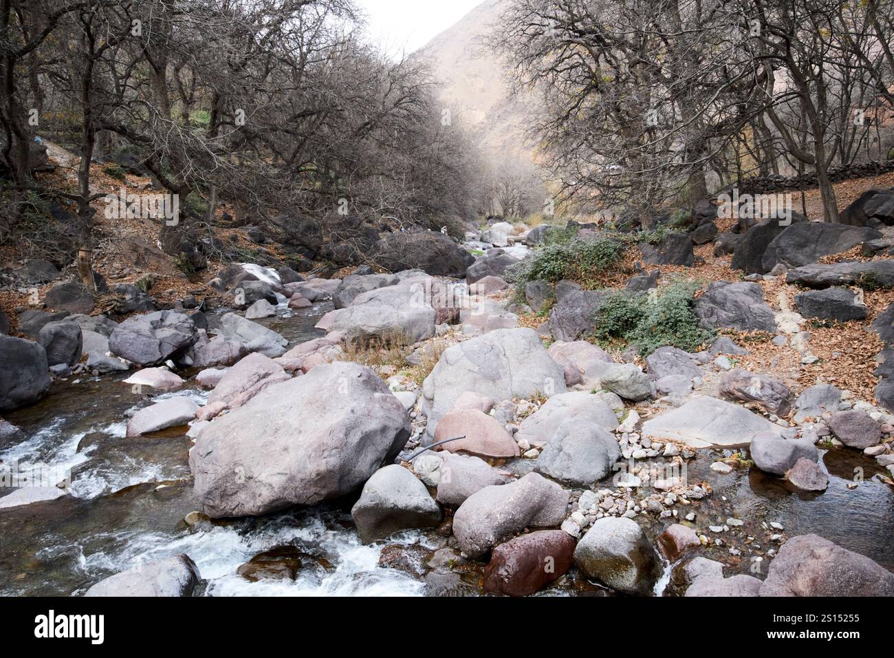 rocky boulder strewn river valley towards imlil morocco Stock Photo