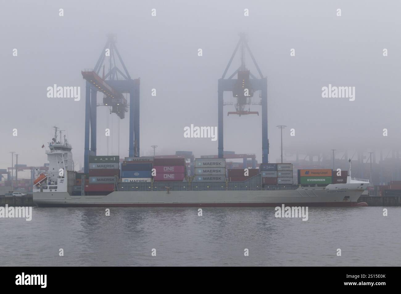 Weather, heavy fog in winter, container gantry cranes and container ...