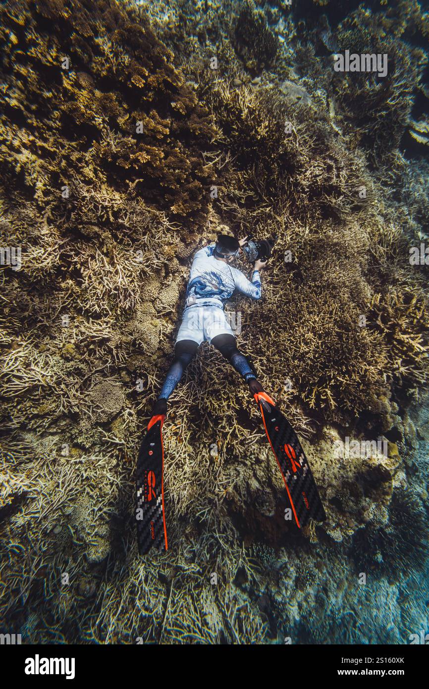 Unveil the Hidden Gems of Komodo's Unspoiled Beaches Stock Photo - Alamy