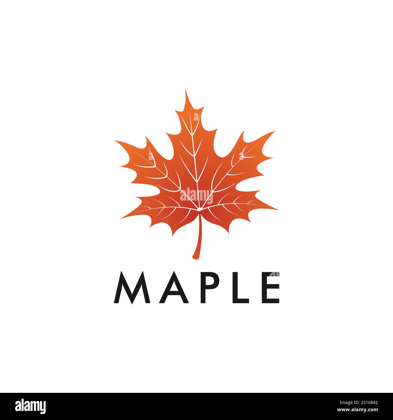 Maple Leaf Logo Design Template Stock Vector
