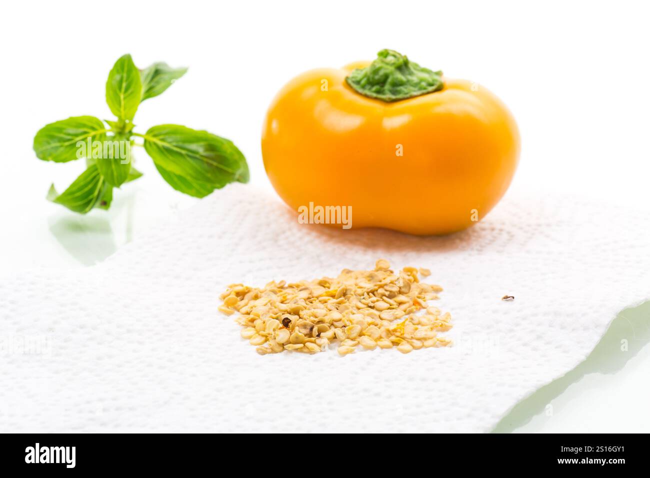 yellow pepper seeds isolated on white background . Stock Photo