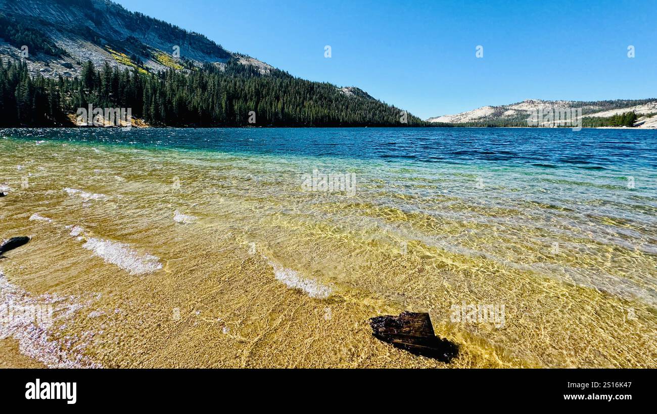 Yosemite National Park California, USA - Smartphone Captured Stock Image