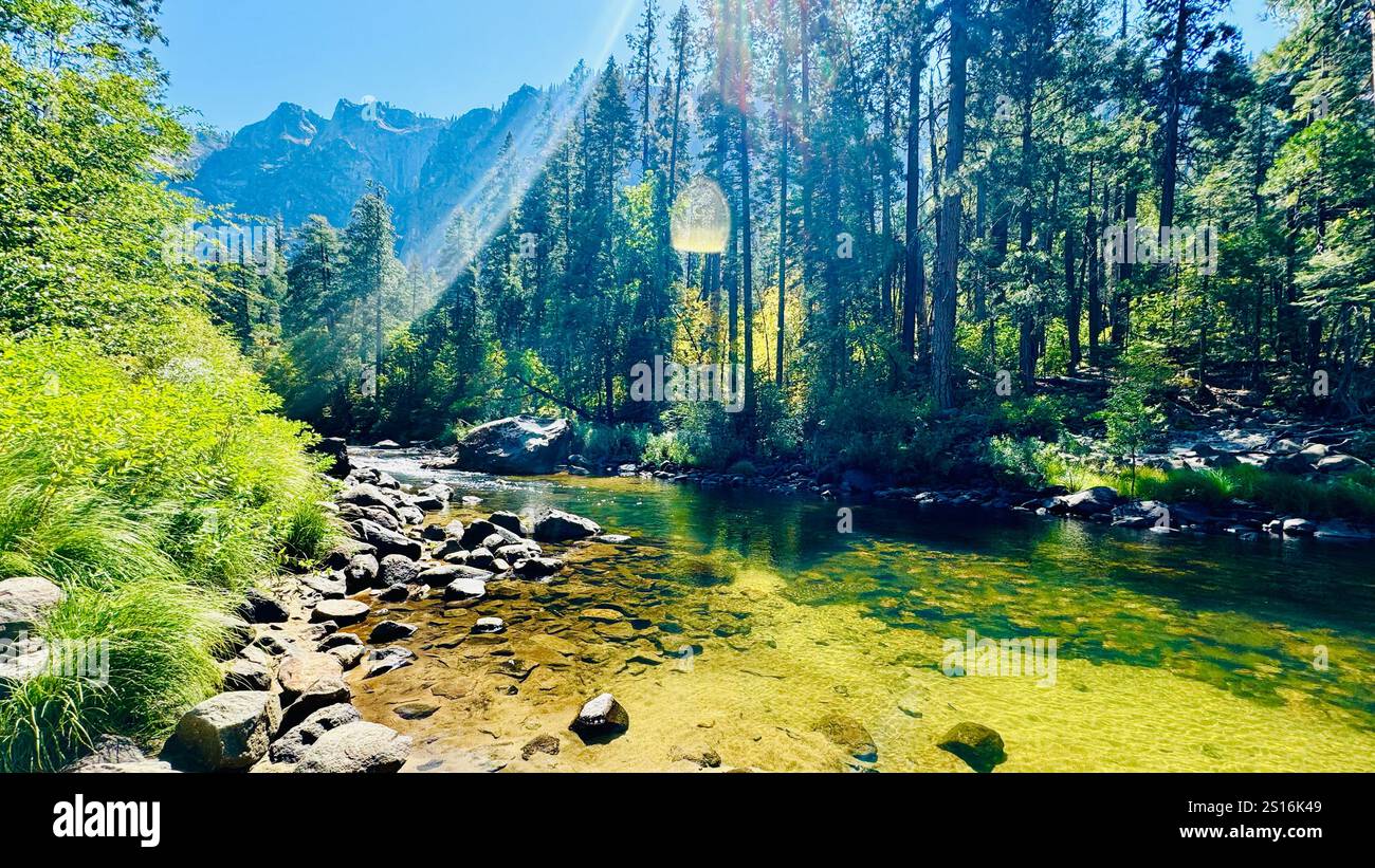 Yosemite National Park California, USA - Smartphone Captured Stock Image