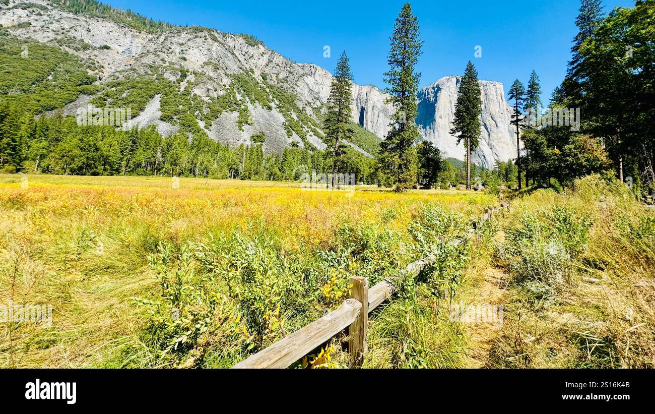 Yosemite National Park California, USA - Smartphone Captured Stock Image
