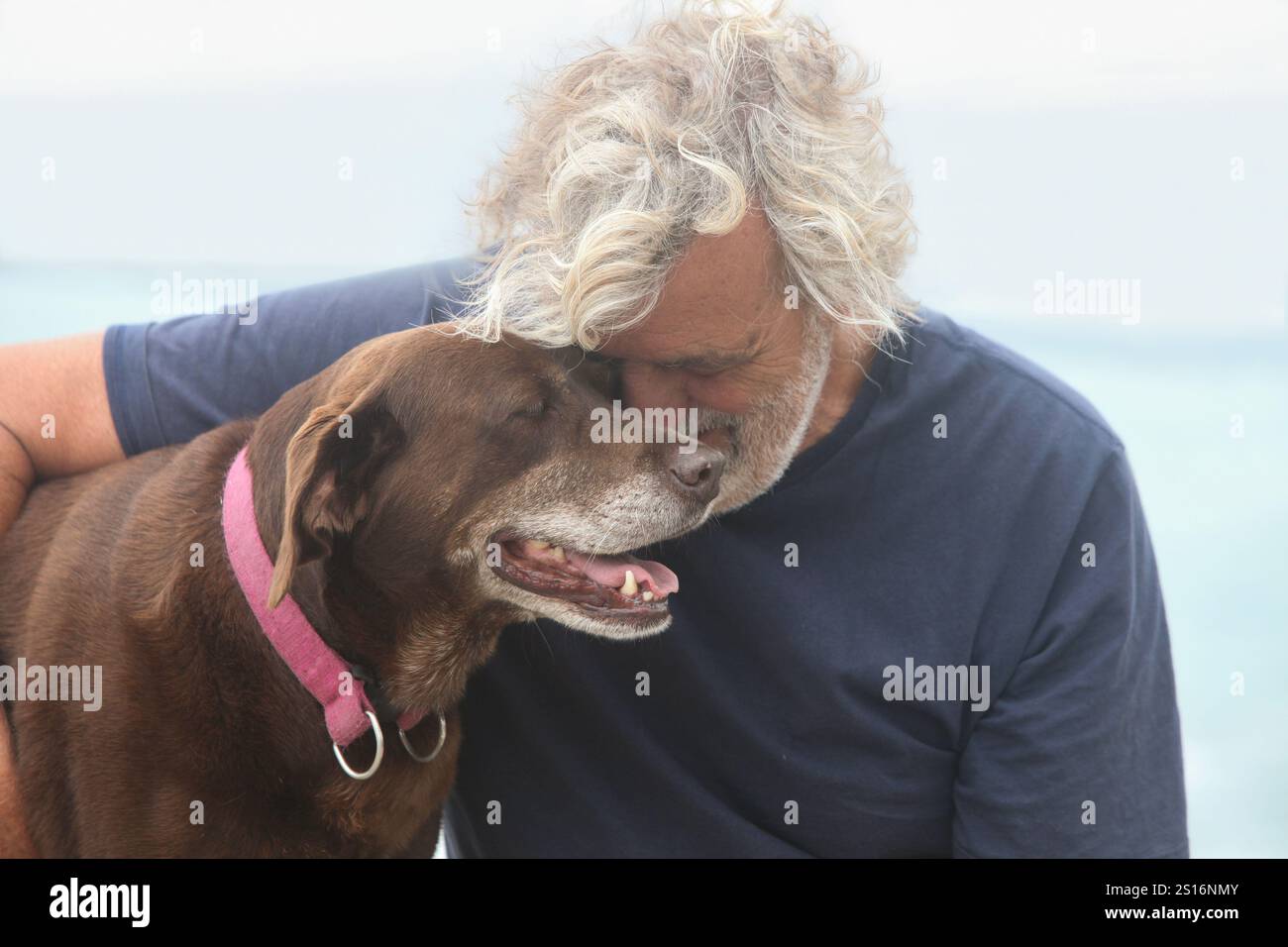 closeup portrait of senior man bonding with his dog outdoors Stock ...
