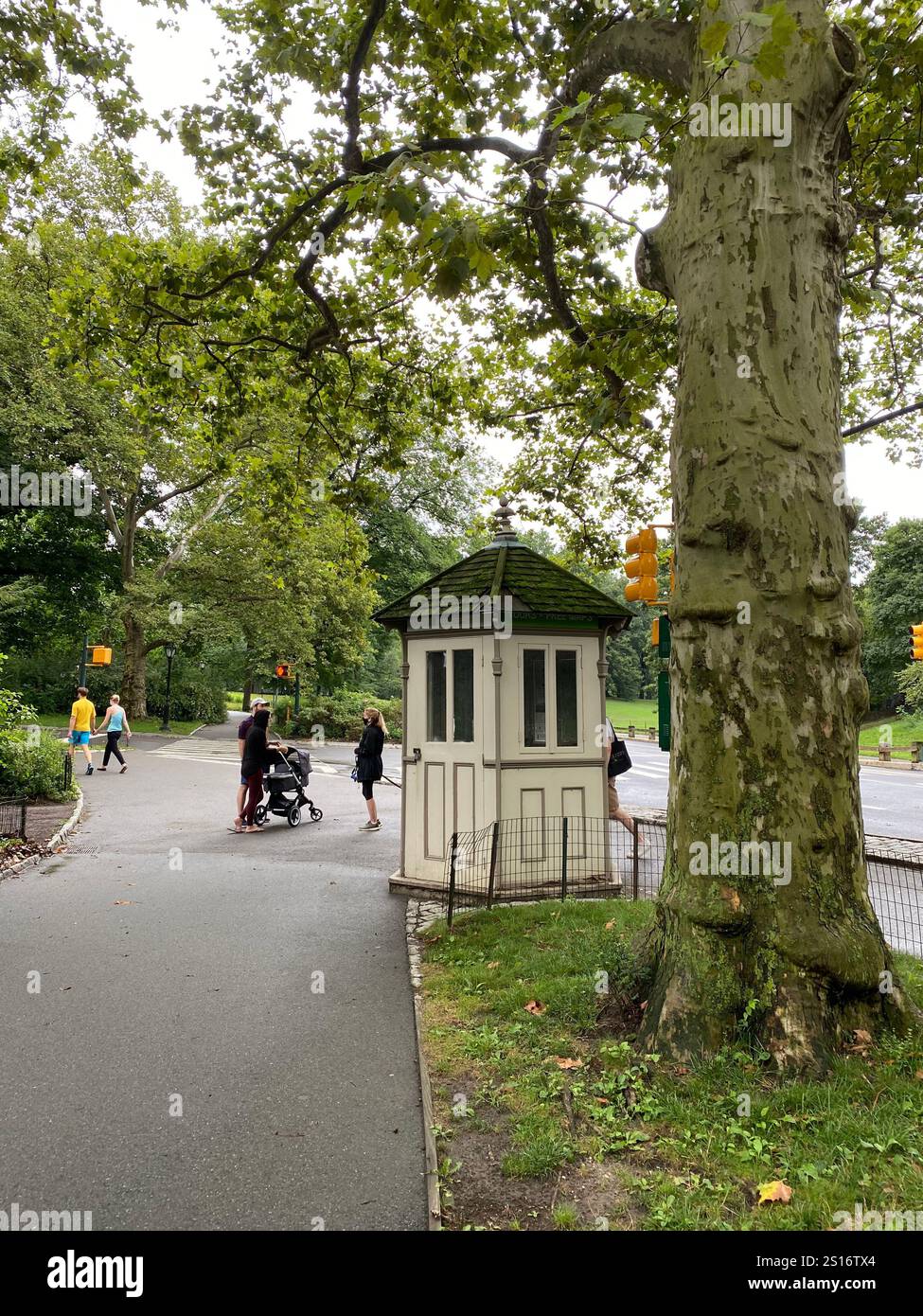 NYC, Central Park - Smartphone Captured Stock Image