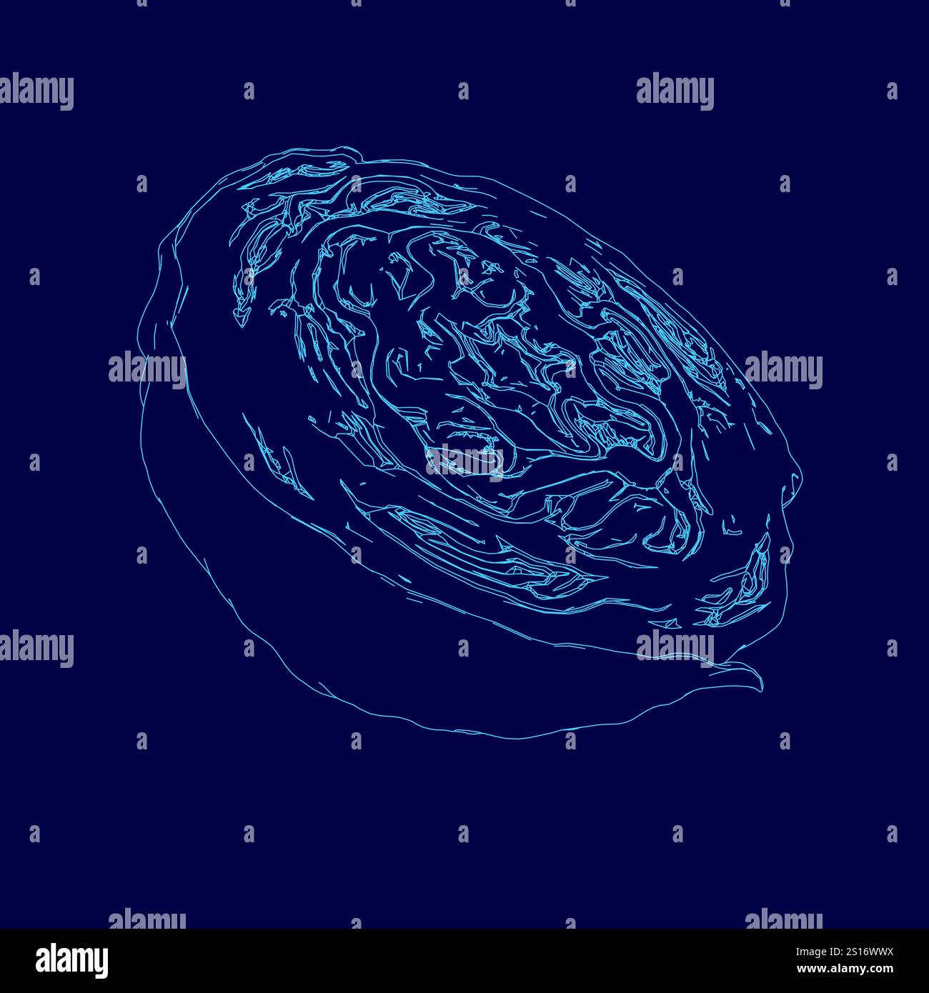 Blue drawing of a cabbage. The drawing is abstract and has a surreal ...