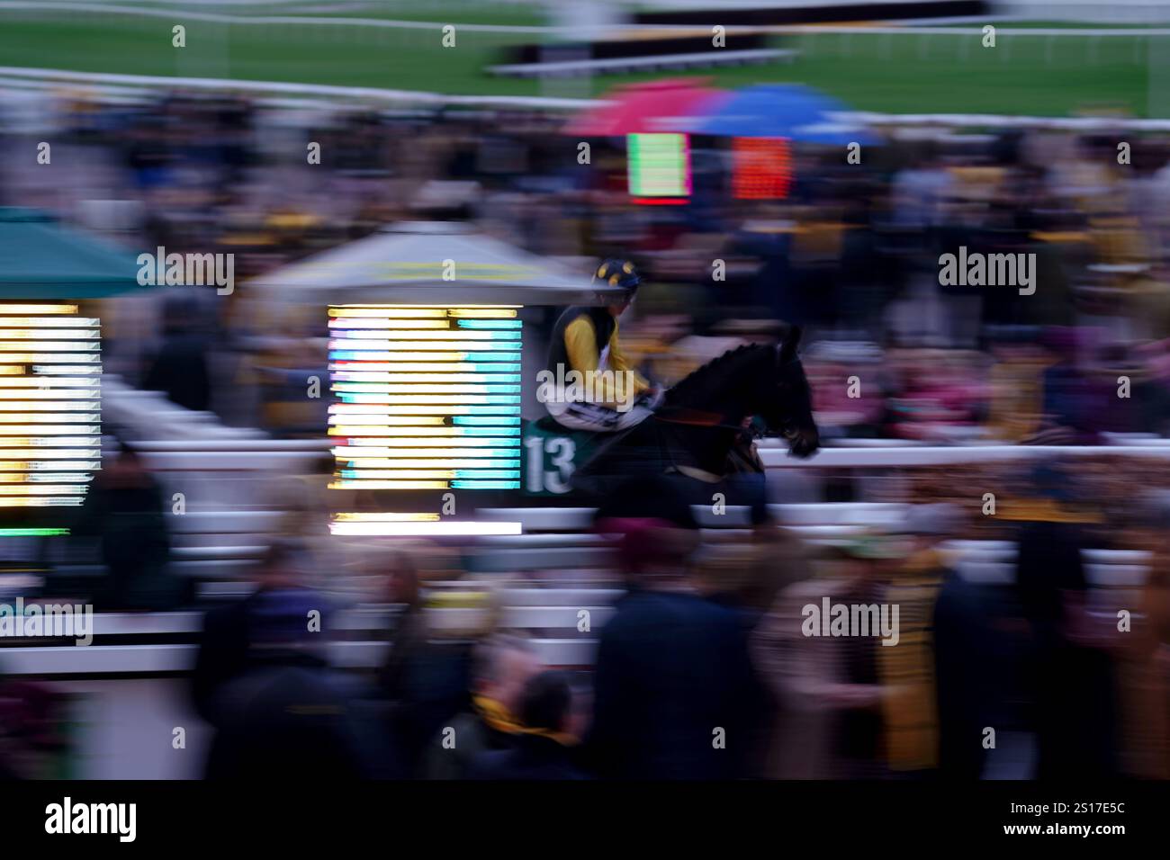 Daffodil ridden by Ben Ffrench Davis going to post before the