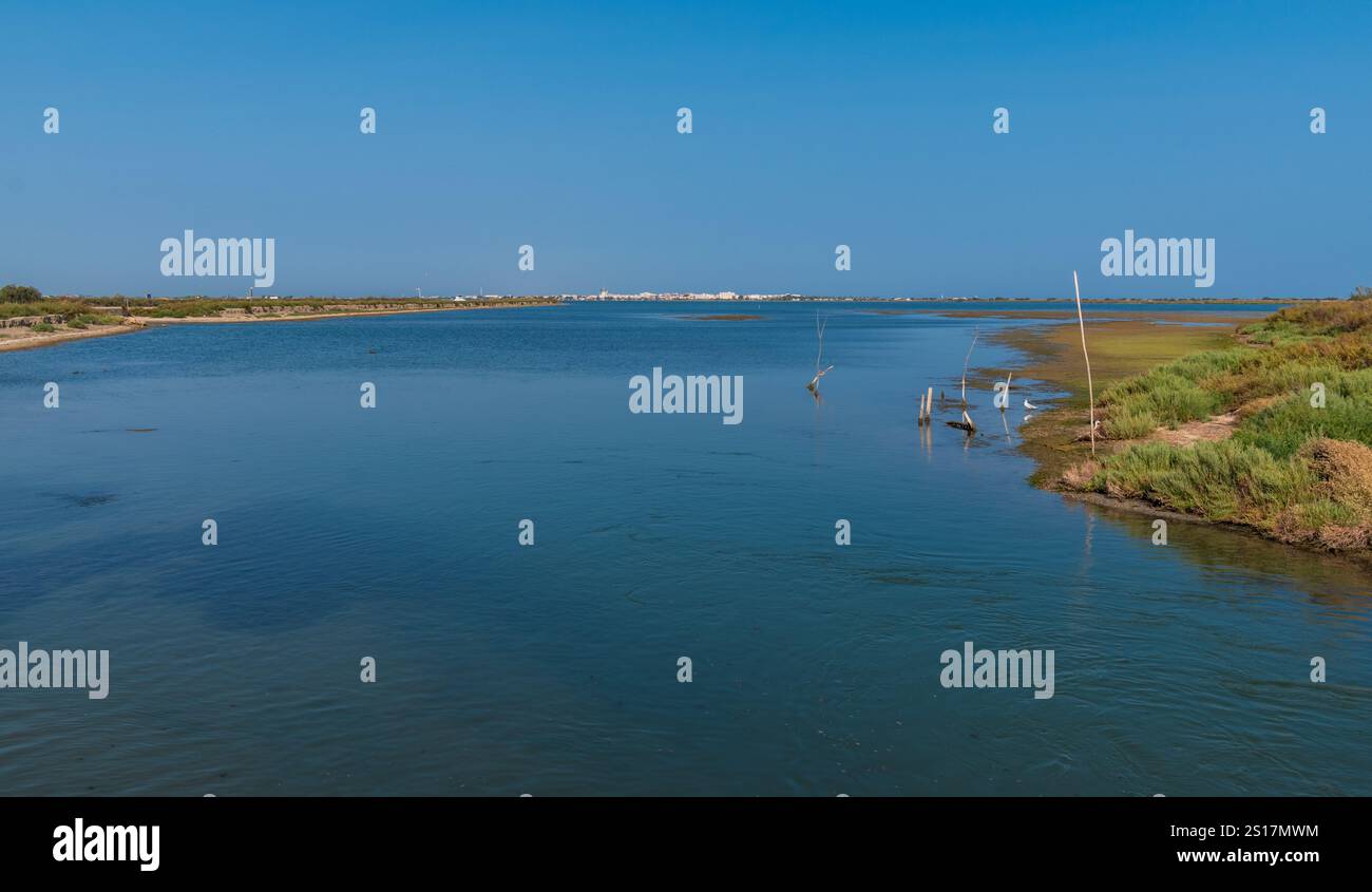 The Rhône to Sète canal, and at the horizon, the city of Palavas-les-Flots, Hérault, France Stock Photo