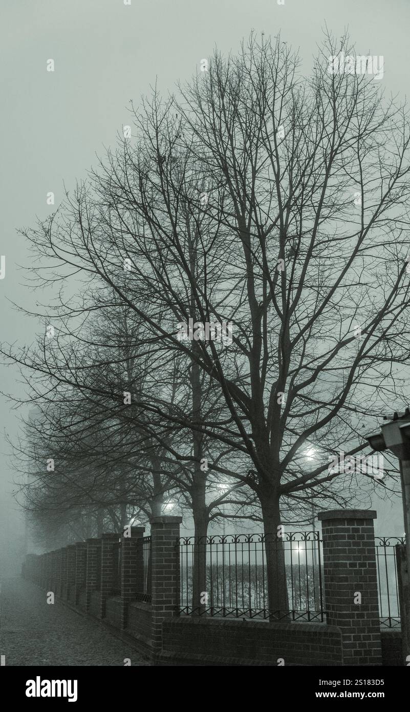 Nebeliger Abend auf einem Weg Stock Photo