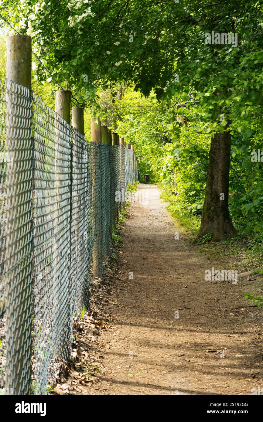 Weg nach vorn Stock Photo
