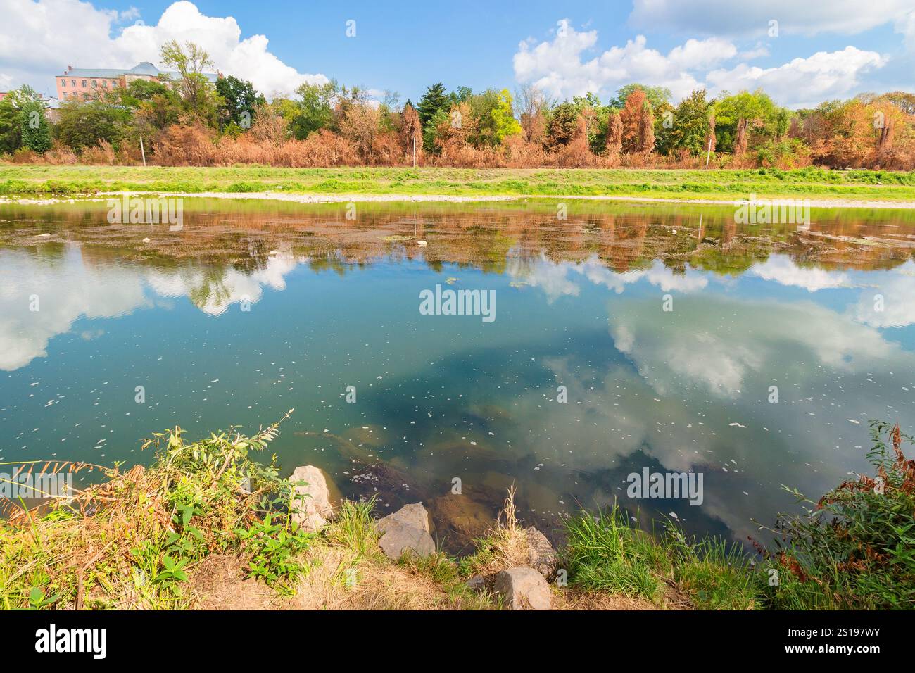 uzh river in autumn. sunny weather. travel destination of ukraine. trees on the shore and clouds on the sky reflecting in the calm water. urban landsc Stock Photo