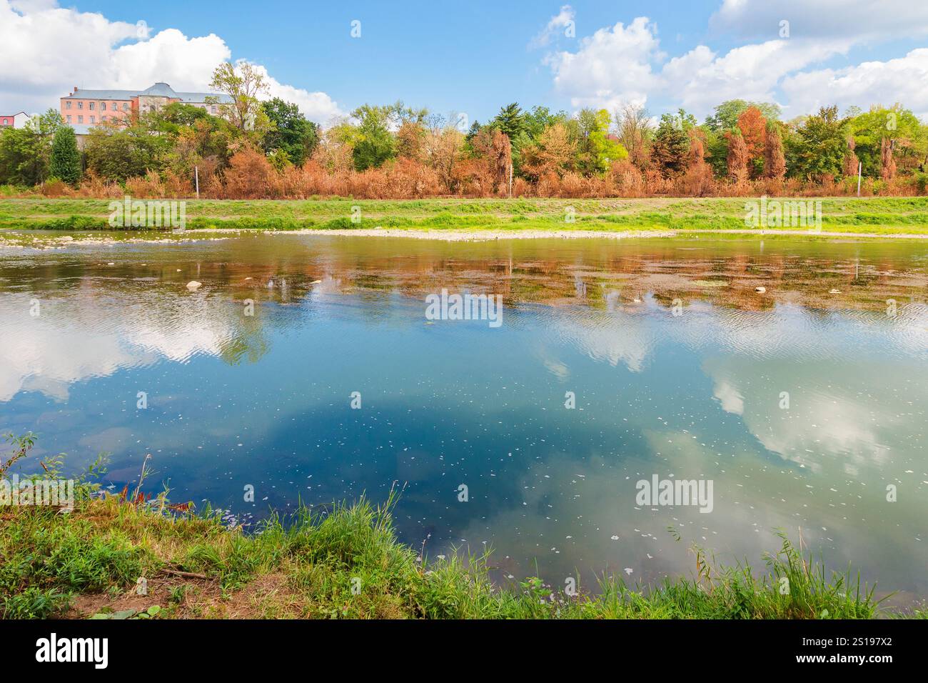 uzh river in autumn. drought season and climate change. sunny weather. trees on the shore and clouds on the sky reflecting in the shallow water. urban Stock Photo