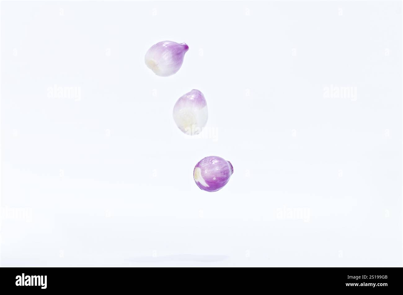 Levitating Purple Shallots Isolated on Clean White Background Stock Photo