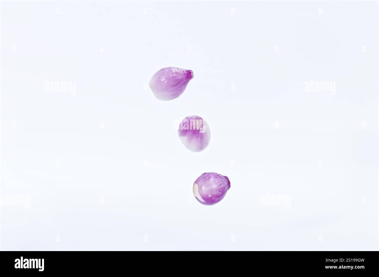 Levitating Purple Shallots Isolated on Clean White Background Stock Photo
