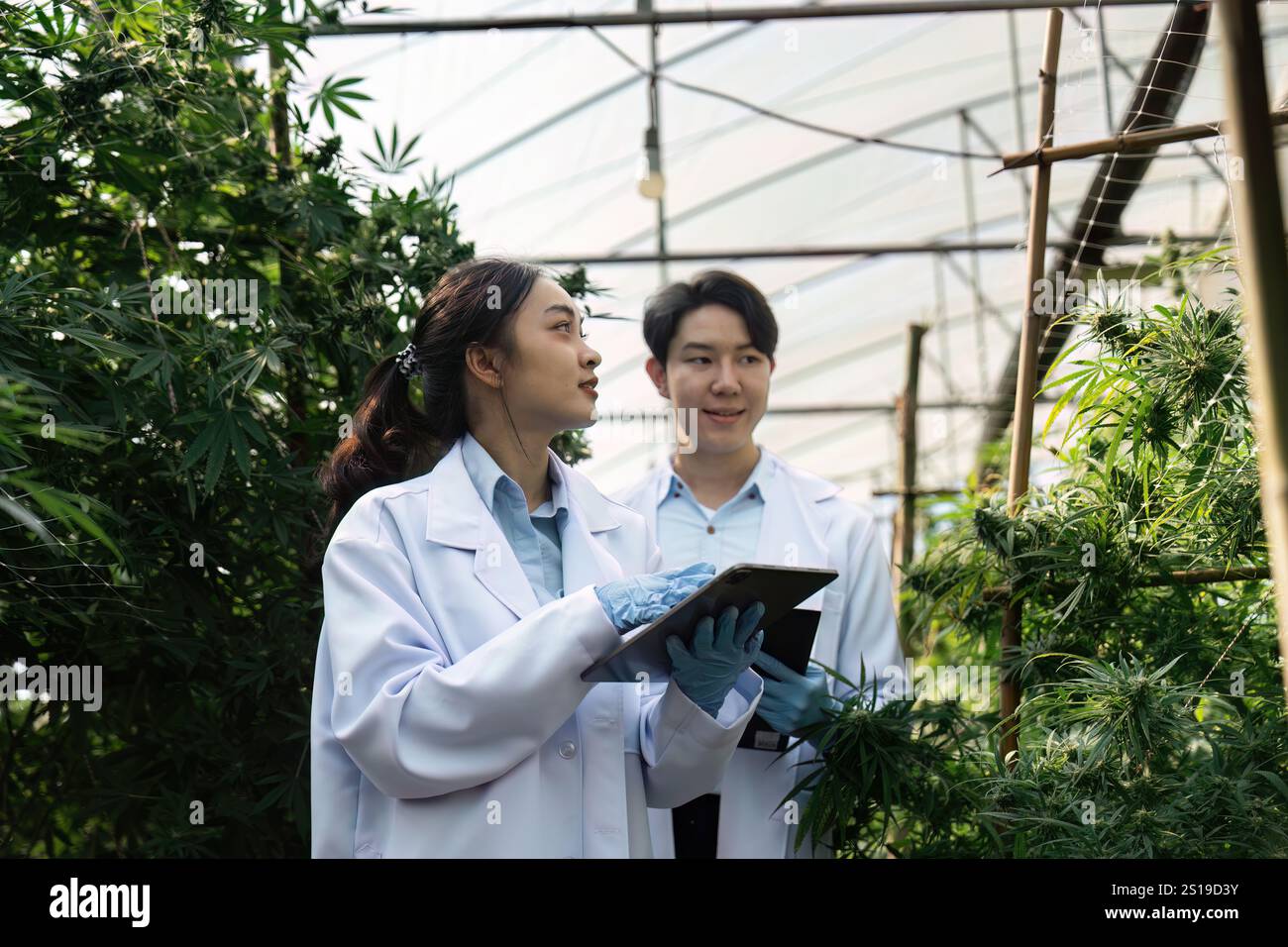 Scientists in Laboratory Coats Conducting Research in a Modern ...