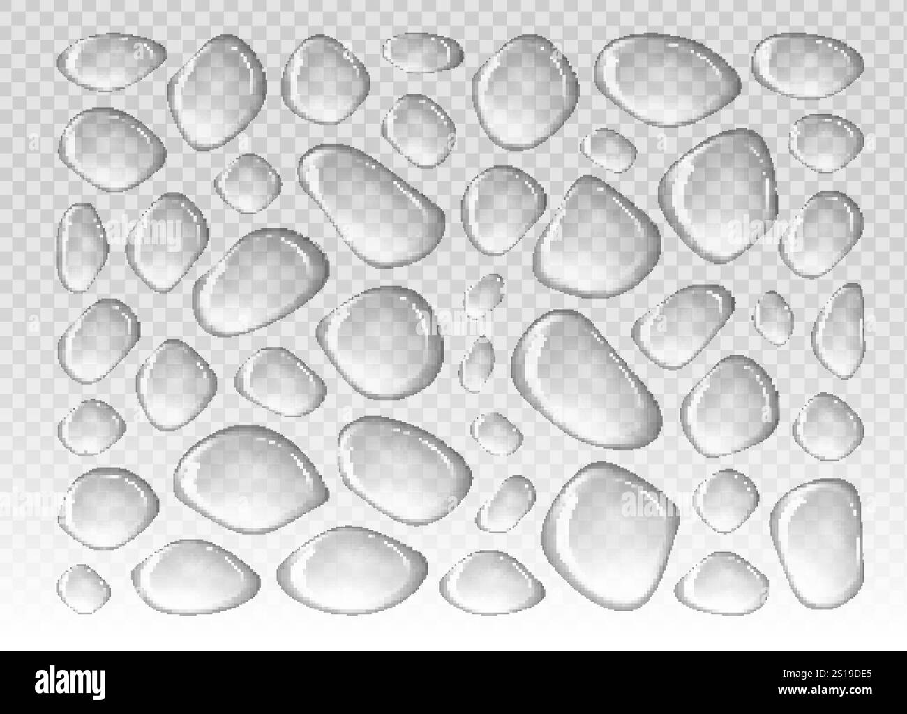 Dense glossy water drops on transparent background Stock Vector Image ...