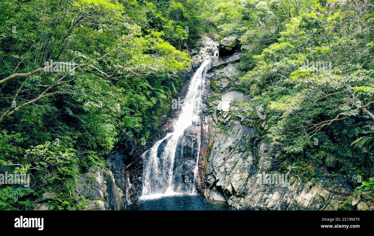 Eco hike in the jungle hi-res stock photography and images - Alamy