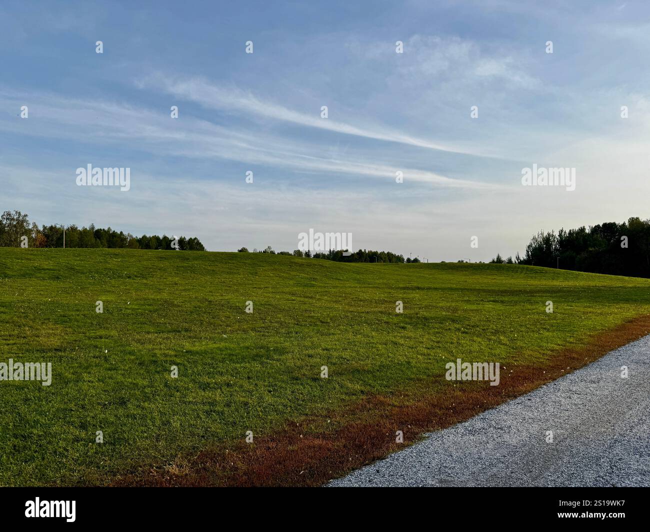 Expansive green lawn under a transparent bright sky in Finland, offering a serene countryside scene that highlights the simplicity and beauty of natur - Smartphone Captured Stock Image