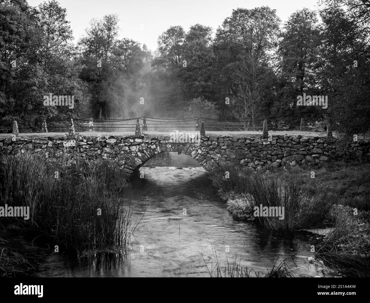 Old stone bridge in black and white Stock Photo - Alamy