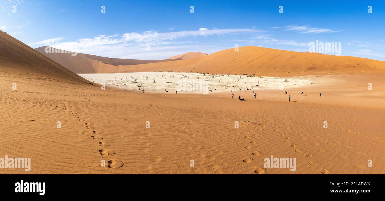 Namibia, Hardap district, Sesriem, Namib Sand Sea listed as World Heritage by UNESCO, Namib Naukluft national park, Sossusvlei dunes, Dead Vlei Stock Photo