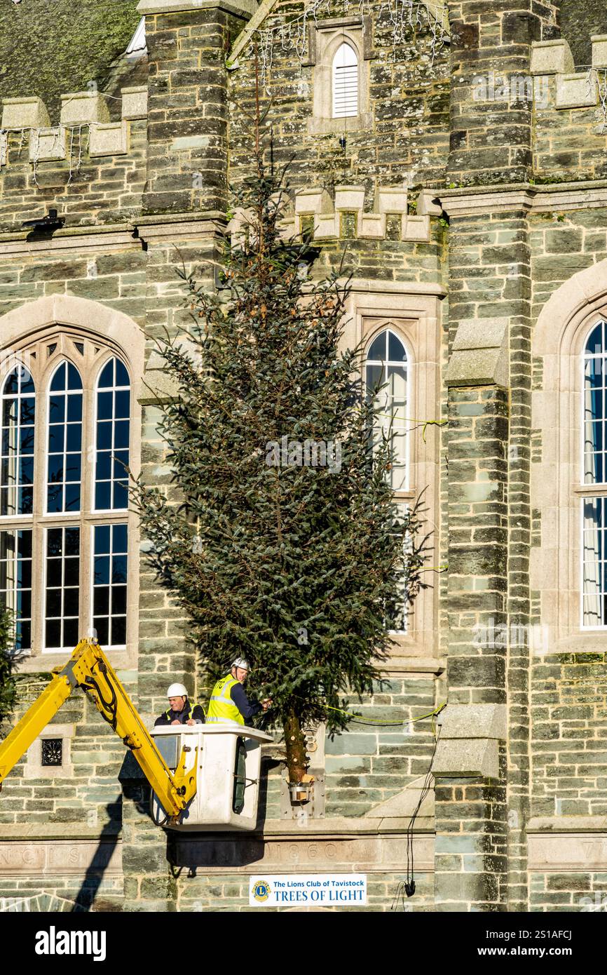 Tavistock, UK. 2 January 2025. Workers take down Christmas trees from