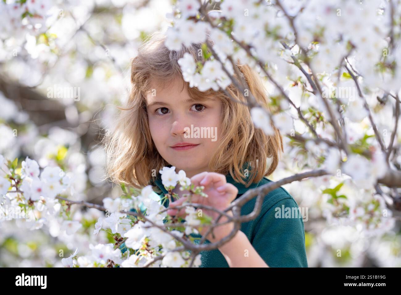 Kid near spring park with white cherry blossom tree. Kid Happiness ...