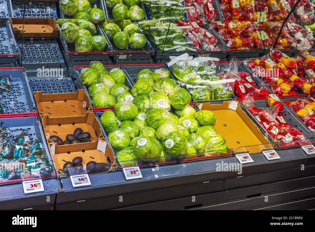 Fresh green lettuce and ripe avocados displayed on grocery store vegetable shelves. Stock Photo