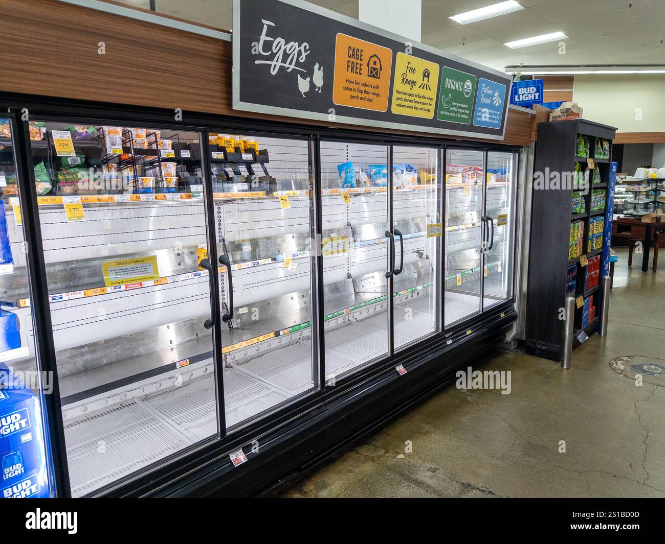 San Jose, California, USA. 1 January, 2025 Egg shortage at a Safeway
