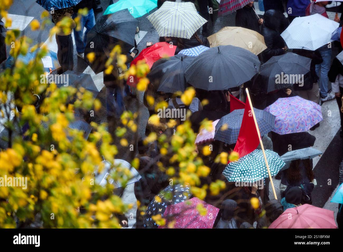 Demonstration of people with umbrellas on the street, Bilbao, Basque Country, Spain Stock Photo