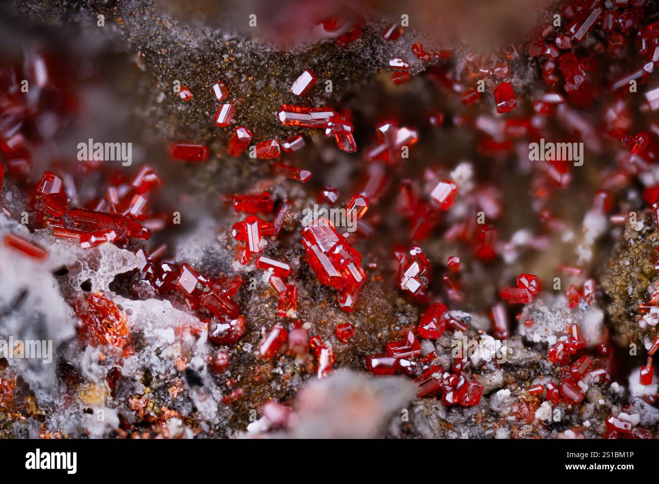 Red realgar crystals. Specimen from Solfatara di Pozzuoli, Phlegrean Fields, Naples Province, Campania, Italy. Micro photography extreme close-up. mic Stock Photo