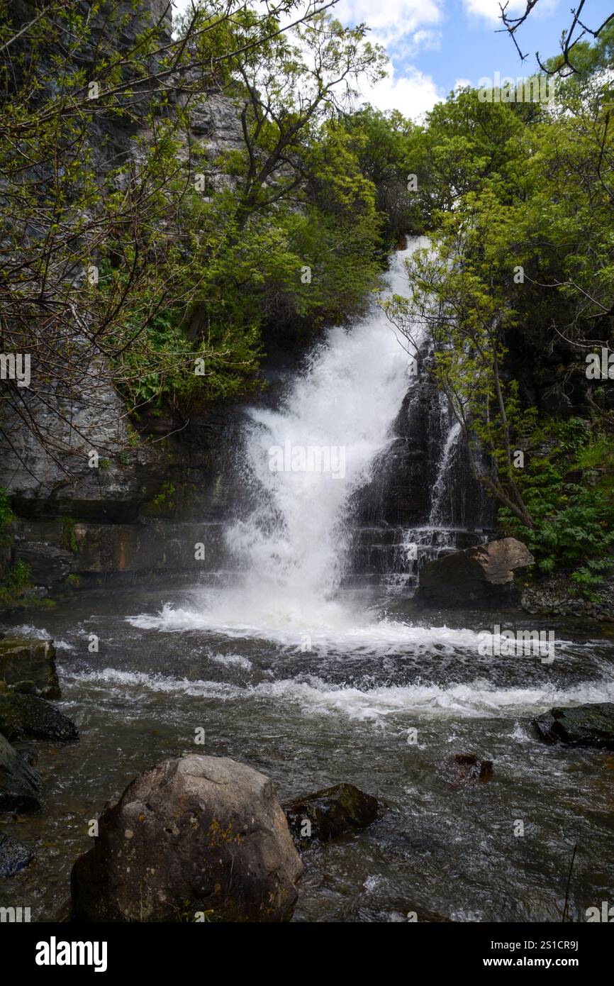 Waterfall in forest. Hight waterfall. Watery waterfall. Tropical forest and tall waterfall wall art. Deep forest and river. Scenic waterfall cascading Stock Photo