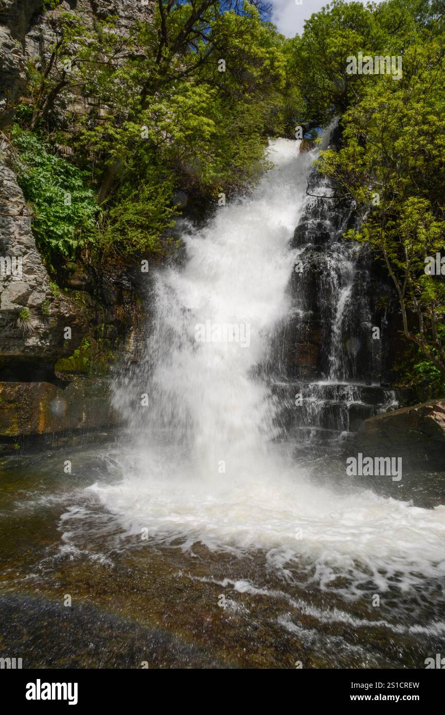 Waterfall in forest. Hight waterfall. Watery waterfall. Tropical forest and tall waterfall wall art. Deep forest and river. Scenic waterfall cascading Stock Photo