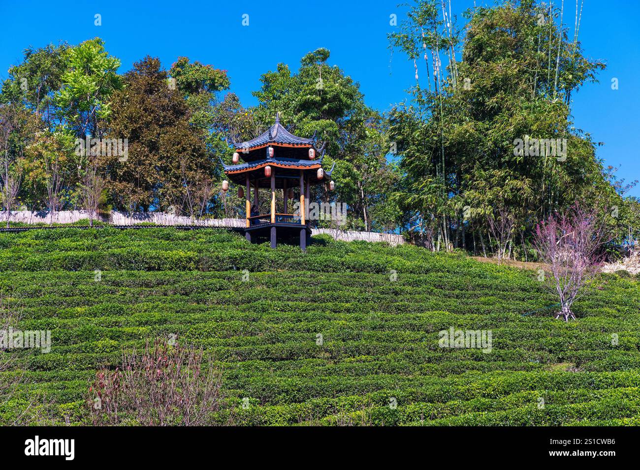 Chinese village of Ban Rak Thai with traditional houses in tea ...
