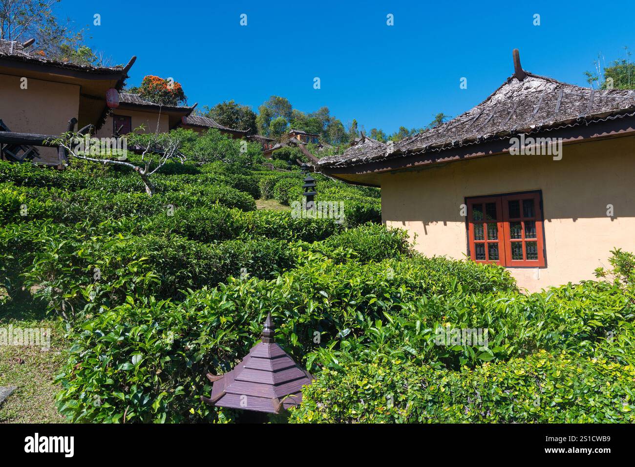 Chinese village of Ban Rak Thai with traditional houses in tea ...