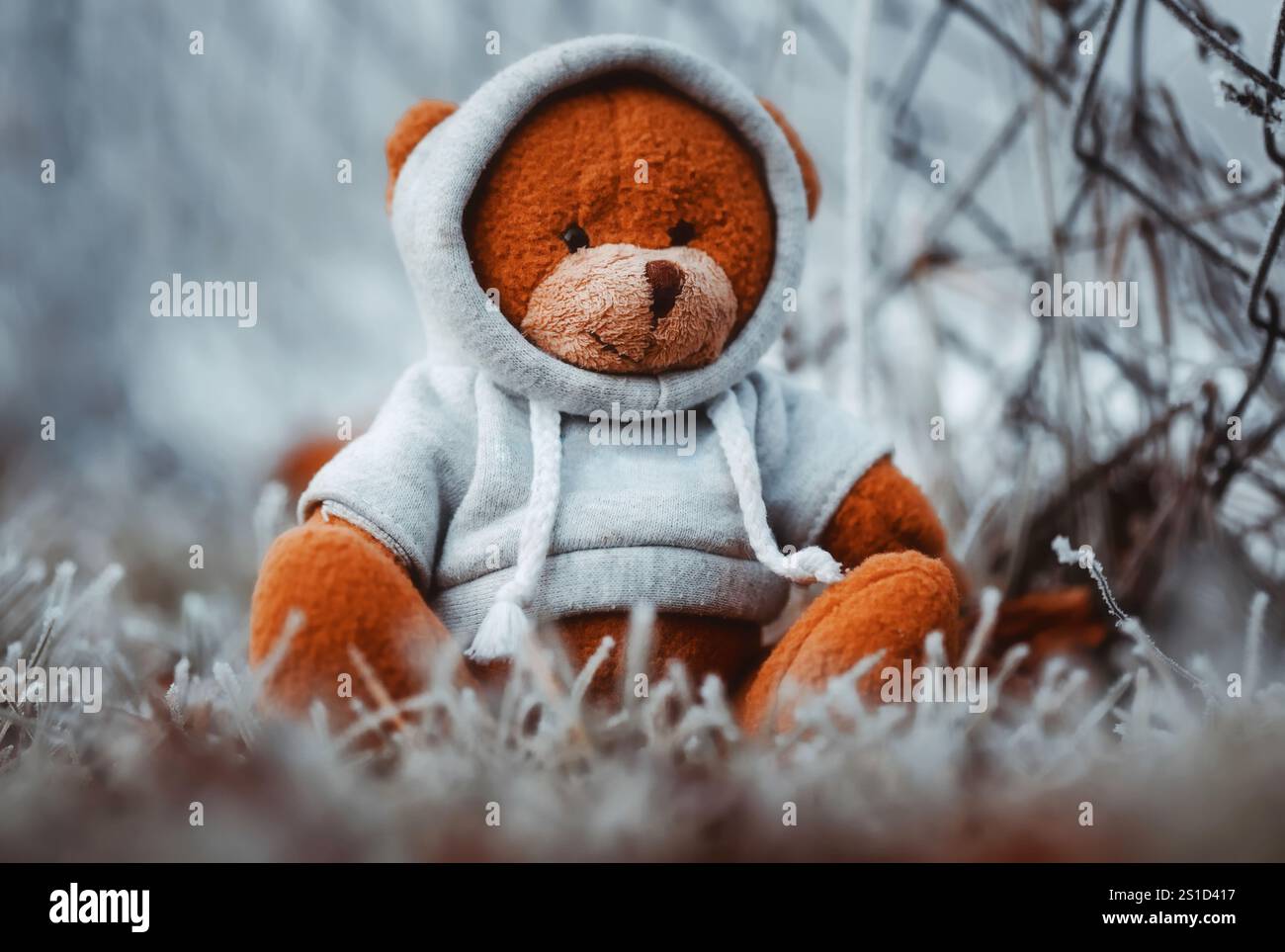 Sad boy with teddy bear hi-res stock photography and images - Alamy