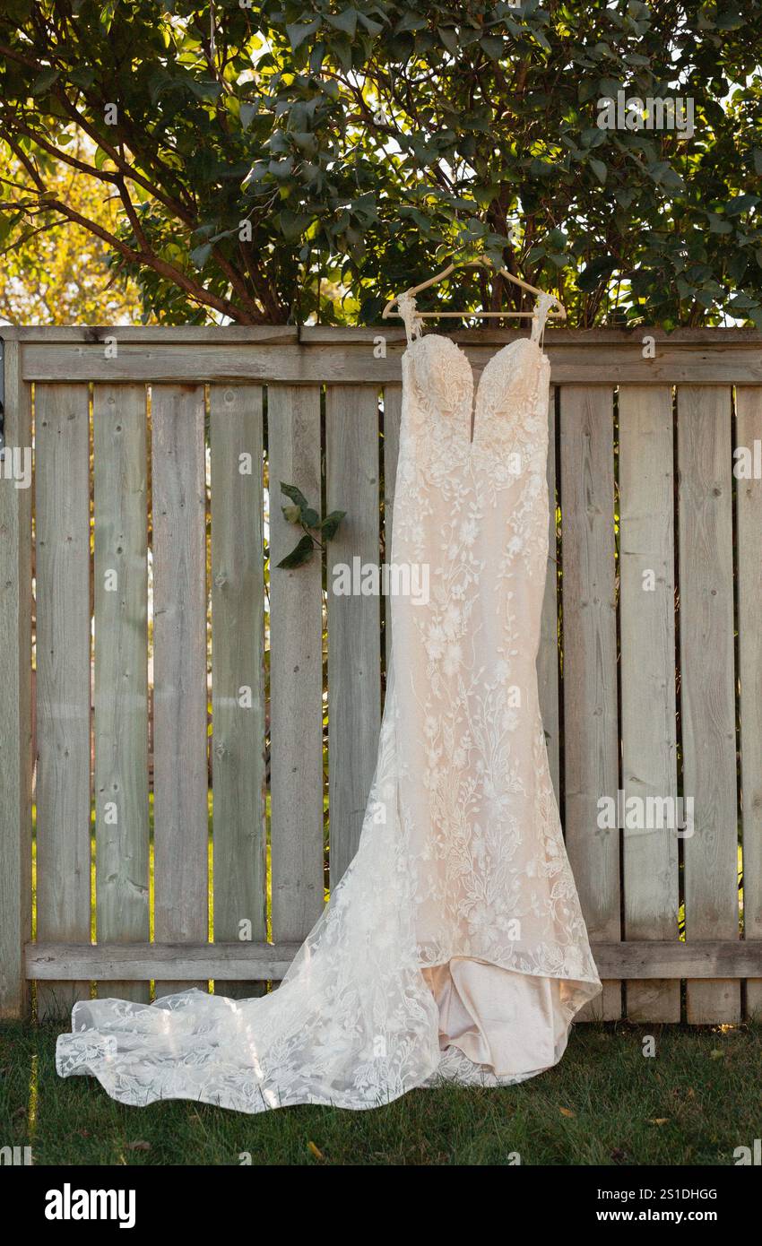 Lace Wedding Dress Mermaid Style Fit hanging in tree Stock Photo - Alamy