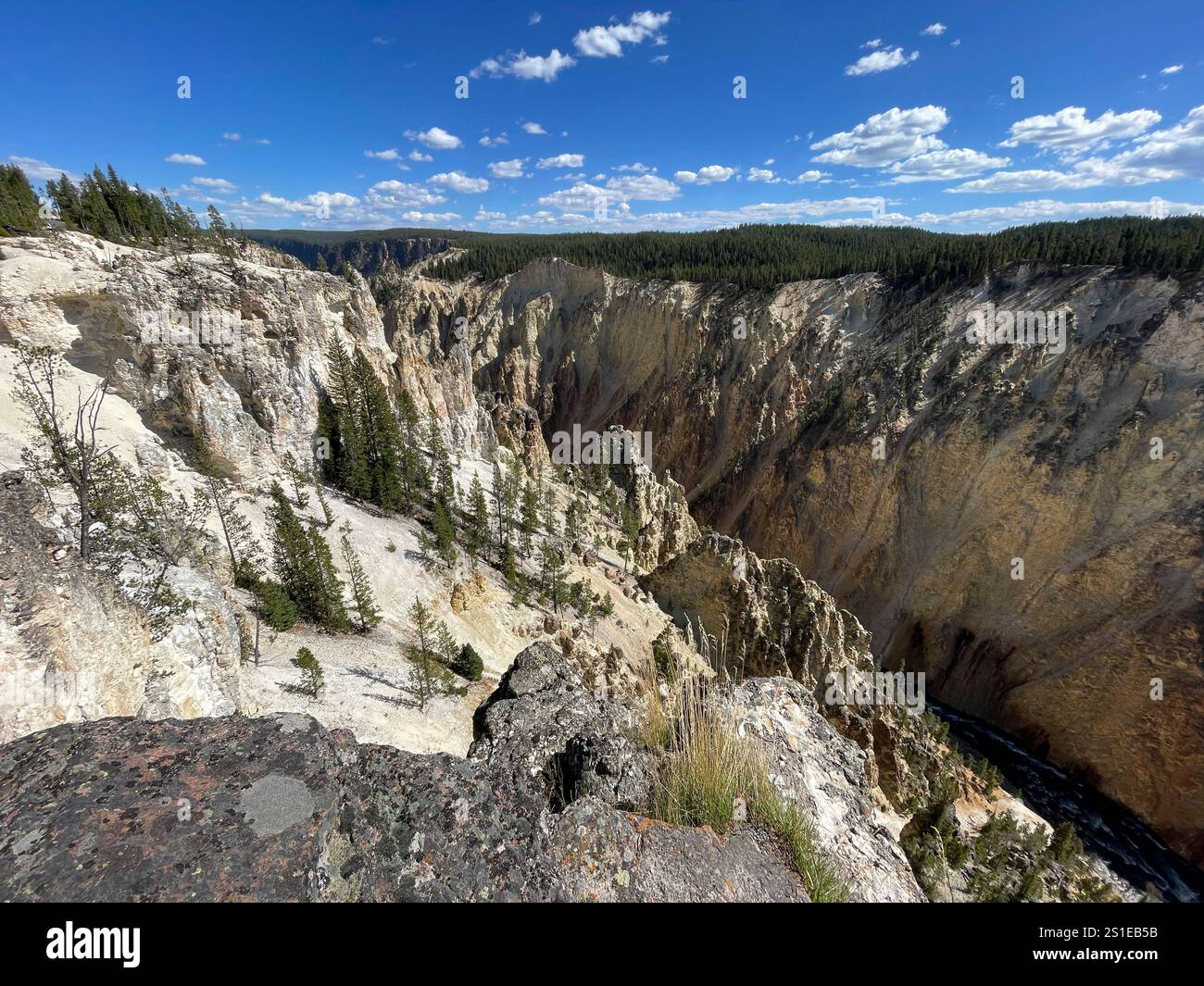 Pan view of Grand Canyon of the Yellowstone National Park and river, Wyoming, USA - Smartphone Captured Stock Image
