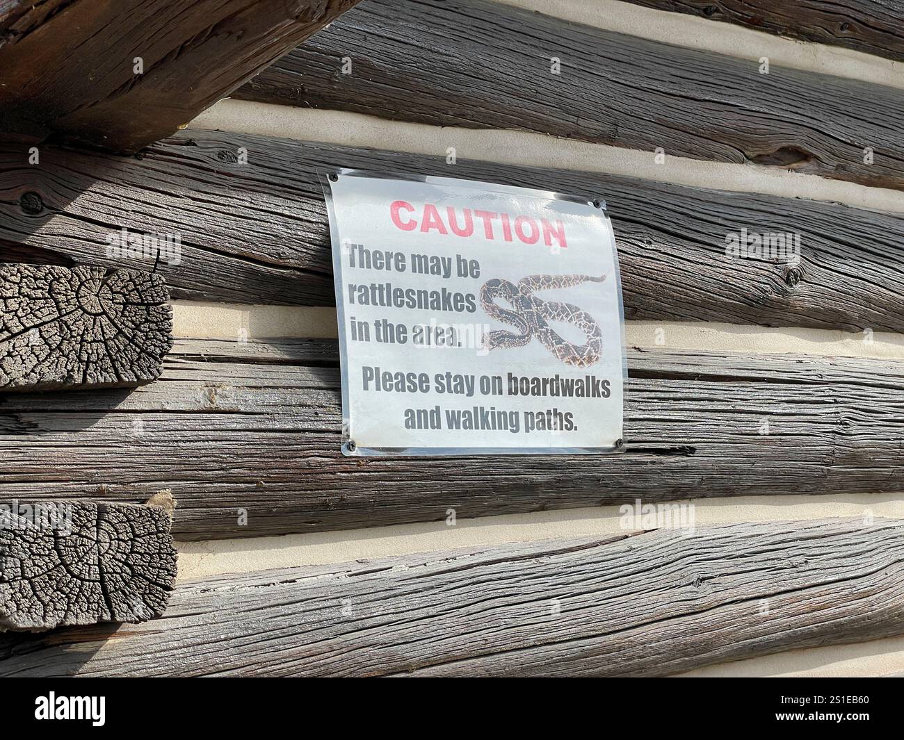 Rattlesnake warning sign on log cabin in Cody, Wyoming, USA - Smartphone Captured Stock Image